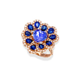 Tanzanite & Blue Sapphire Ring